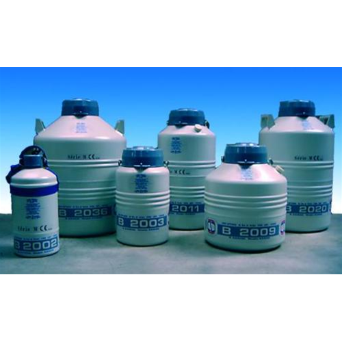 Contenitori per azoto liquido a lungo termine, serie B 2000, Tipo B 2011M ,  Capacità 12,00 L, Dimens. camera (Ø x H) 37x270 mm, N° di vials 216 2ml